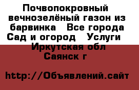 Почвопокровный, вечнозелёный газон из барвинка - Все города Сад и огород » Услуги   . Иркутская обл.,Саянск г.